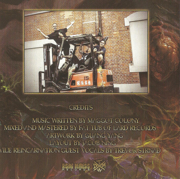Maggot Colony (2) : Vile Reincarnation (CD, Album)