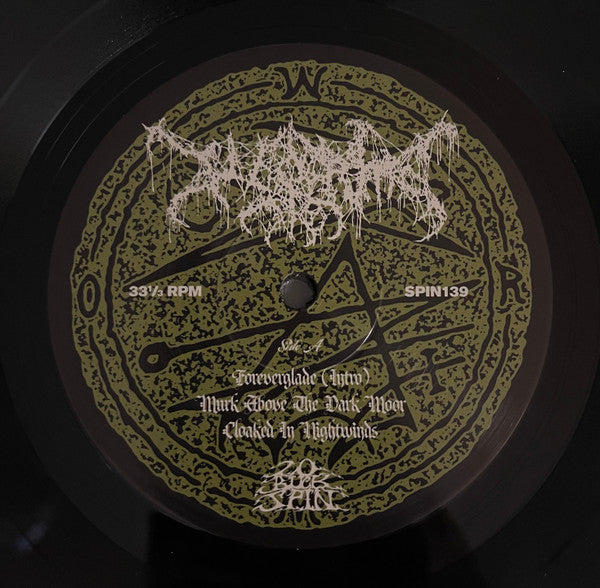 Worm (23) : Foreverglade (LP, Album)