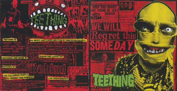 Teething : We Will Regret This Someday (CD, Album)