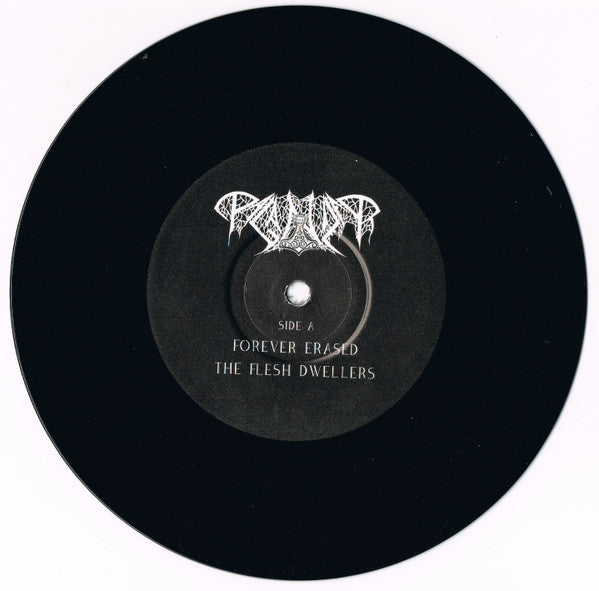 Paganizer : The Portal (7", EP, Ltd)