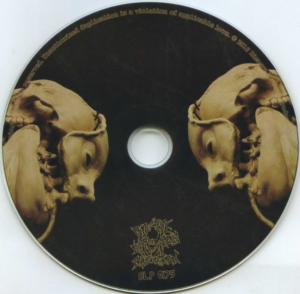Butcher M.D. : Traces Of Gore (Compilation) (CD, Comp)