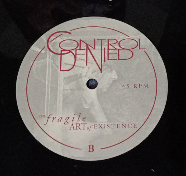 Control Denied : The Fragile Art Of Existence (2x12", Album, RM, RP)