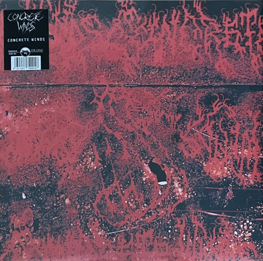 Concrete Winds : Concrete Winds (LP, Album)