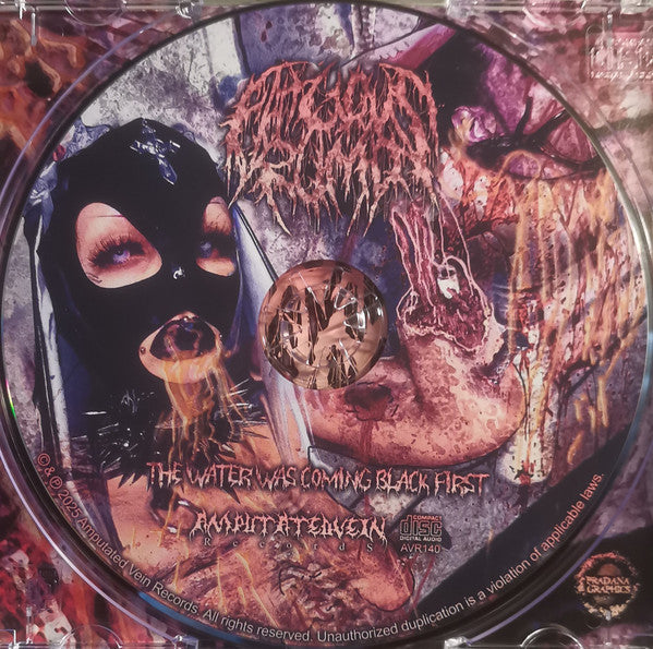 Fatuous Rump : The Water Was Coming Black First (CD, Album, O-c)