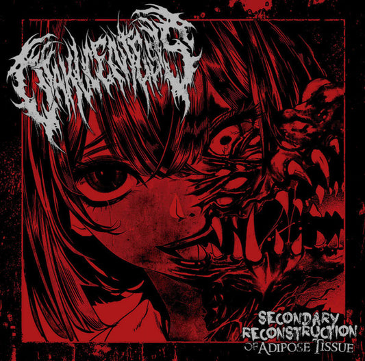 Otakucentesis : Secondary Reconstruction Of Adipose Tissue (CD, EP)