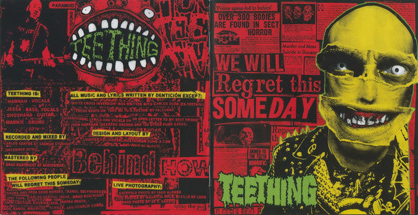 Teething : We Will Regret This Someday (CD, Album)