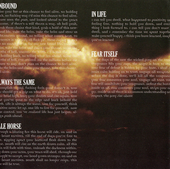 Arise And Ruin : The Final Dawn (CD, Album)