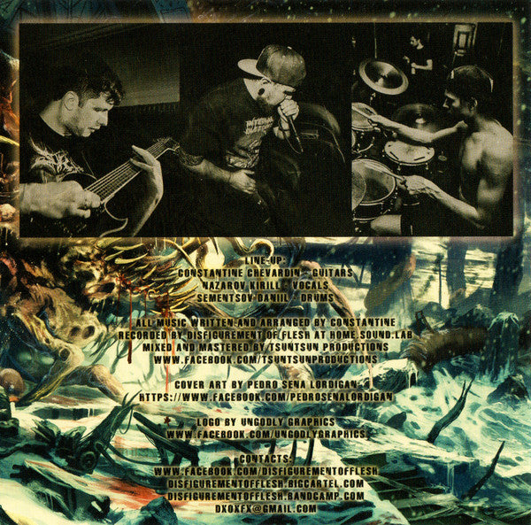 Disfigurement Of Flesh : Shrine Of Immortals (CD, EP)