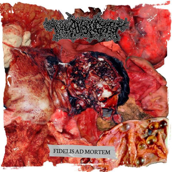 Thanatopsis (2) : Fidelis Ad Mortem (CD, MiniAlbum, Dig)