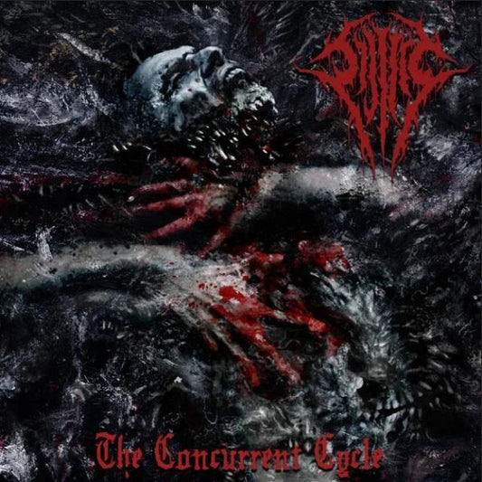 Sijjeel : The Concurrent Cycle (CD, EP, Dig)