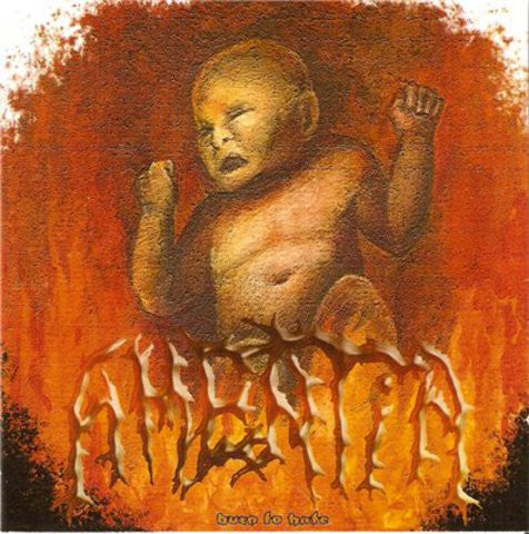 Amentia : Burn To Hate (CD, Album, Enh)