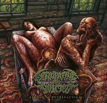 Extirpating The Infected : Reborn In Putrefaction (CD, Album)