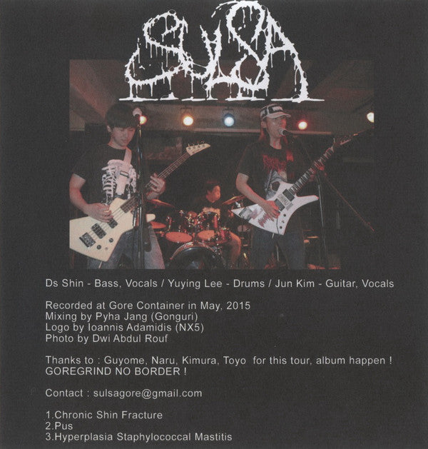 Pulmonary Fibrosis / Vulgaroyal Bloodhill / Sulsa / Embryopathia : Gore Grind 4 Way Split CD (CD)