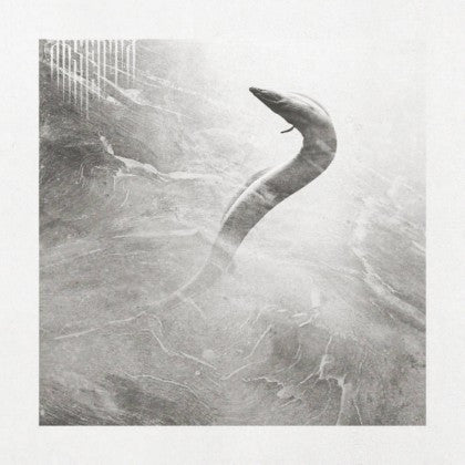 Absenta (2) : Eel (CD, Album)