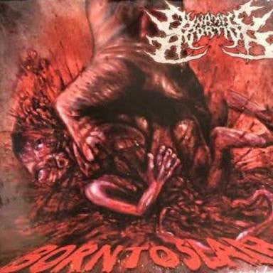 Dynamite Abortion : Born To Slam (CD, EP)